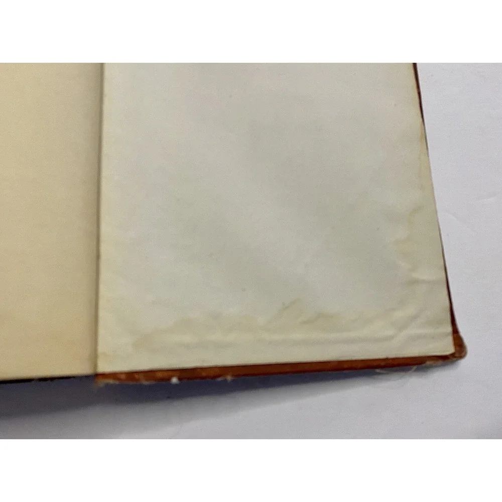 In The Days Of‎ My Youth A Novel By Amelia Edwards Antique 1874